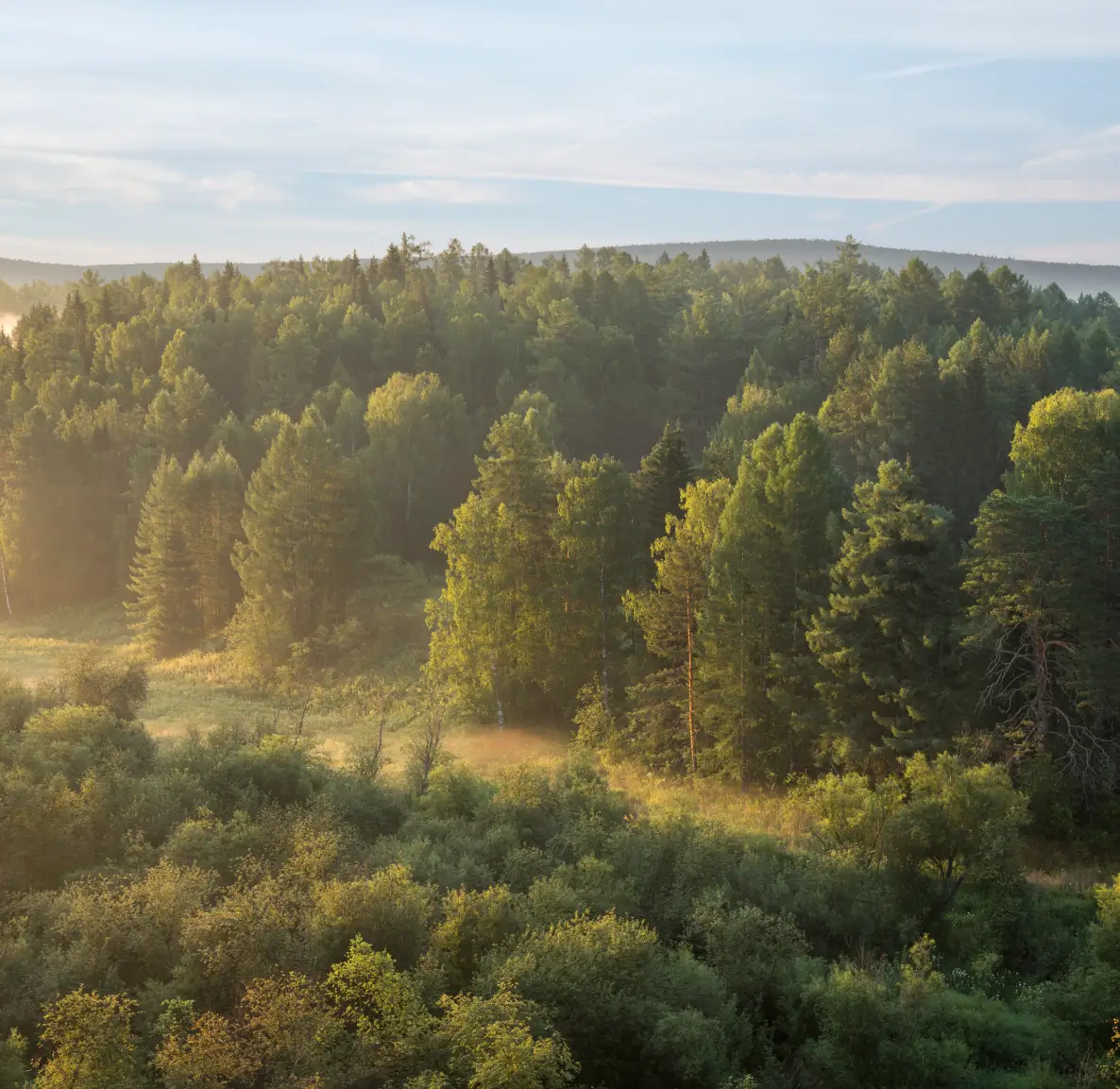 prekrasnyi_tumannyi_rassvet_v_prirodnom_parke_dir_springs_1